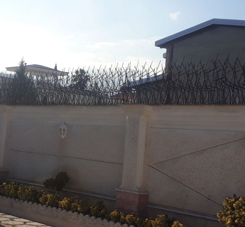 حفاظ شاخ گوزنی